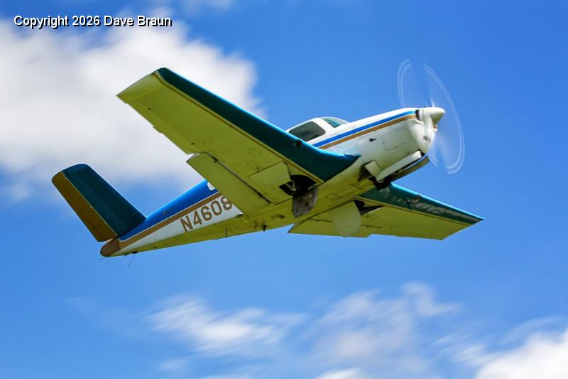 Chip in flight by Dave Swartz (2).jpg