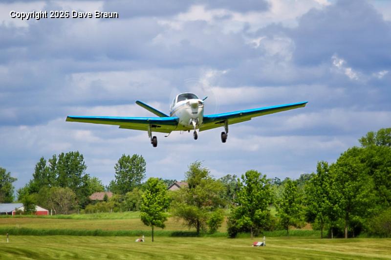 Chip in flight by Dave Swartz (4).jpg