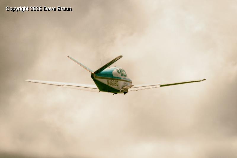 Chip in flight by Dave Swartz (5).jpg