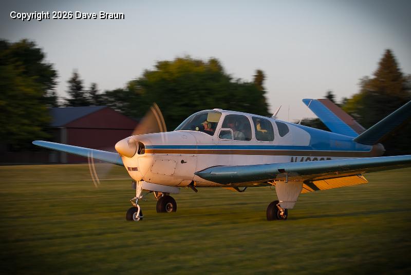 Chip in flight by Dave Swartz (8).jpg