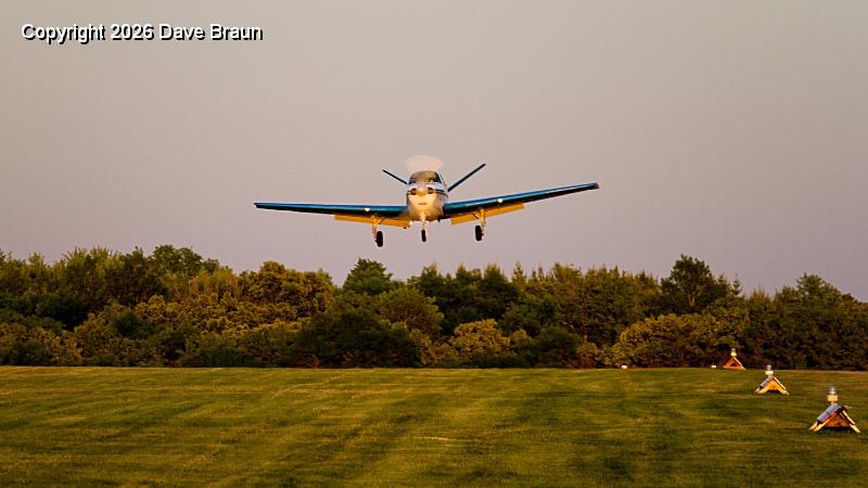 Chip in flight by Dave Swartz trimmed (6).jpg