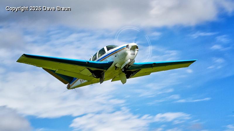 Chip in flight3 trimmed.jpg