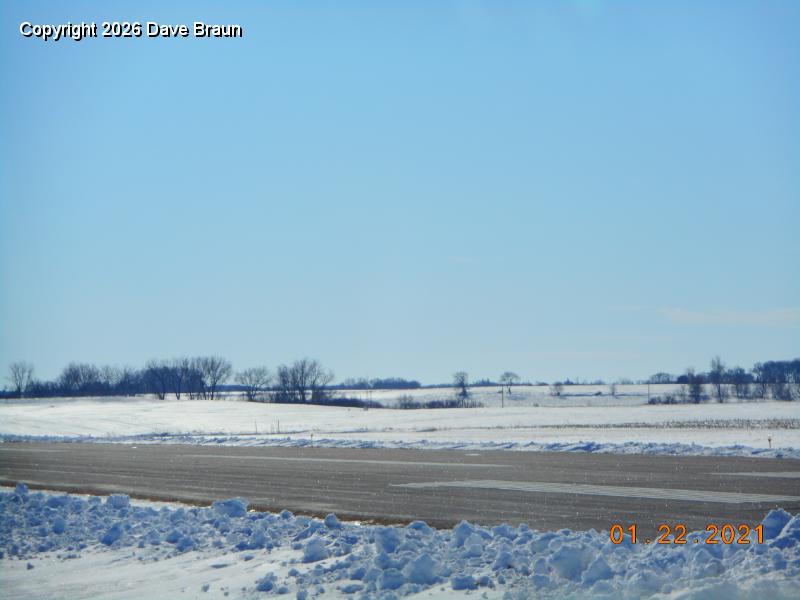 WinterFlight 210122 (4).JPG