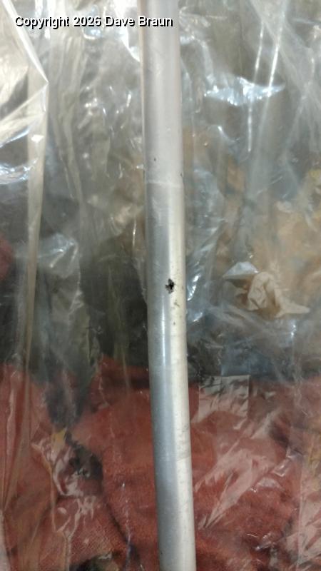 Maint Corroded fuel line 1611 (1).jpg