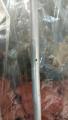 Maint Corroded fuel line 1611 (1)