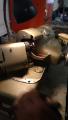 no 3 Cylinder Valve work Earl Ramey (1)