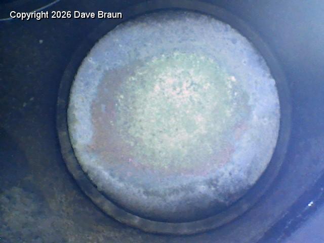 200731 4E.jpg