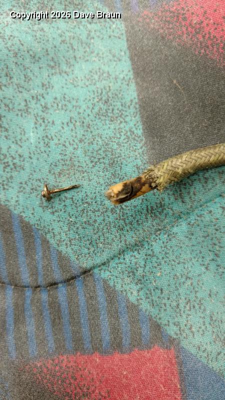 Harness lead replacement on 3B.jpg