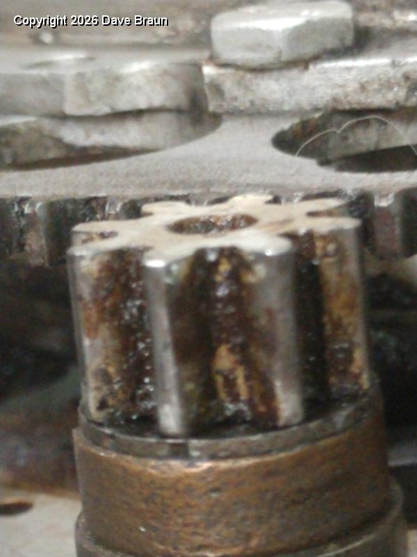 good teeth on motor.jpg