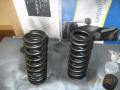 Painted coil springs