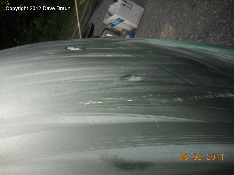 Bonnet sanded small dents removed 03.jpg