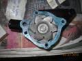 Hylomar on both sides of water pump gasket 01